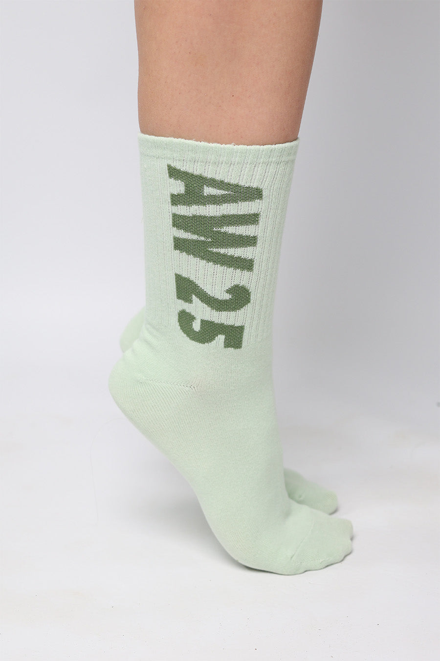 Earth AW25 Socks